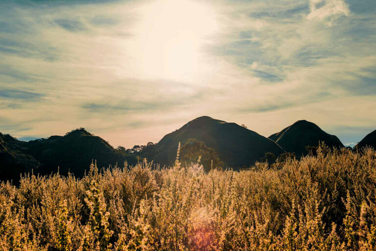 Fotografía del Piedemonte llanero atardecer por Nicolás Galeano